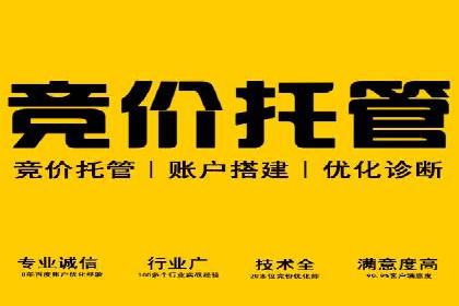 竞价账户开启的误区与解决方案：真实案例剖析
